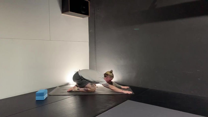 Slow Flow with Shane